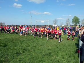 九游体育-青少年体育锻炼促进策略与实践，青少年体育锻炼方案