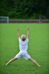 九游娱乐入口-高校体育专业课程体系动态调整研究，全国普通高校体育教育专业课程方案
