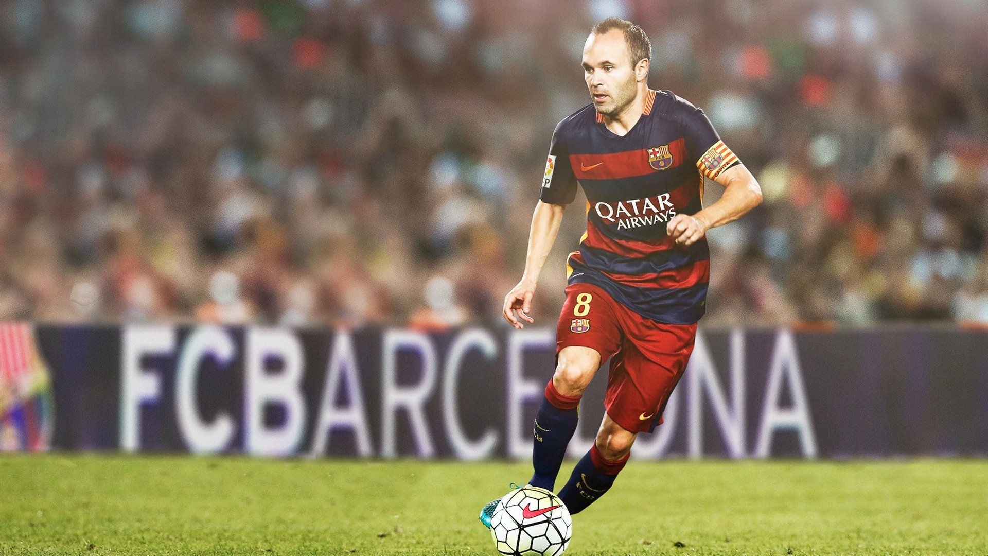 200蝶转身速度与划频对比