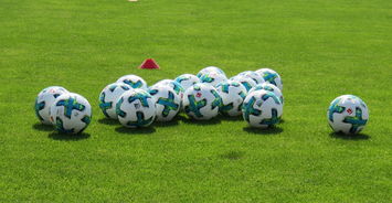 九游网页版入口-中国足球青训人才选拔科学化，中国足球青训将来的发展